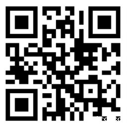 双层龙骨运动木地板