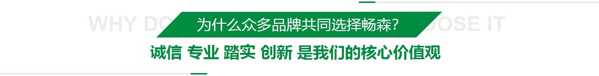 体育运动木地板