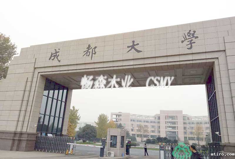 成都大学体育馆案例